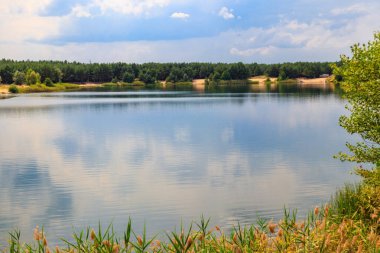 Yazın bir çam ormanında güzel bir göl manzarası