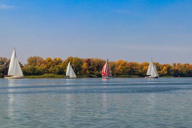 Kremenchug, Ukrayna 'daki Dinyeper Nehri' ndeki yelkenli yarışlarında yatlar