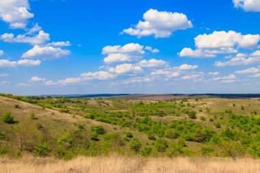 Yeşil ağaçlar, çayırlar, tarlalar ve mavi gökyüzü ile ilkbahar manzarası