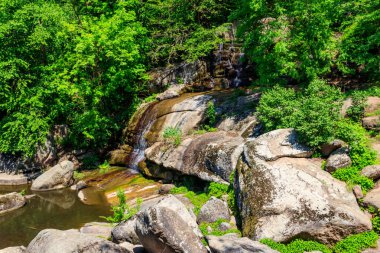 Uman, Ukrayna 'daki Sofiyivka parkında güzel bir şelale.