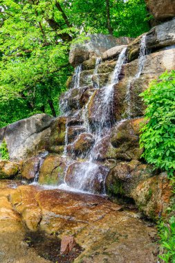 Uman, Ukrayna 'daki Sofiyivka parkında güzel bir şelale.
