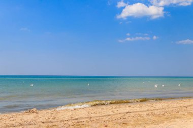 Ukrayna 'daki Karadeniz manzarası