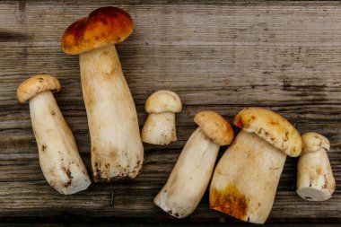 Köy ahşap masada taze toplanmış porcini mantarları. Üst görünüm