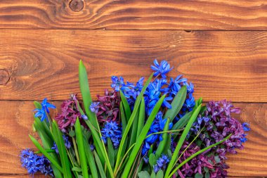 Mor Corydalis çiçekleri ve ahşap arka planda mavi scilla çiçekleri. İlk bahar çiçekleri. Sevgililer Günü, Kadınlar Günü ve Anneler Günü için tebrik kartı. Üst görünüm, alanı kopyala
