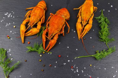 Siyah arka planda dereotlu ve baharatlı kırmızı haşlanmış kerevit. Üst görünüm