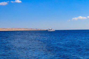 Beyaz yat Kızıl Deniz 'de, Mısır' da