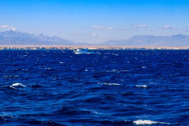 Beyaz yat Kızıl Deniz 'de, Mısır' da