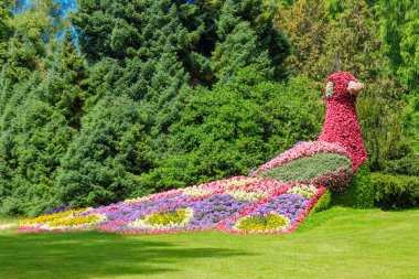 Tavuskuşu, Almanya 'nın Constance Gölü' ndeki Mainau adasındaki çiçeklerden yapılmıştır.