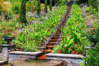 Almanya, Constance Gölü 'ndeki Mainau adasındaki İtalyan çiçek suyu merdivenleri.