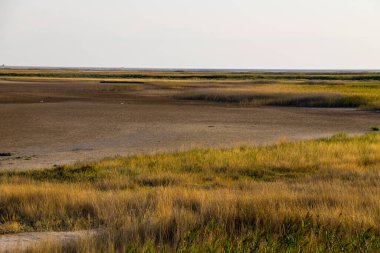 Ukrayna 'daki Sivash Gölü manzarası