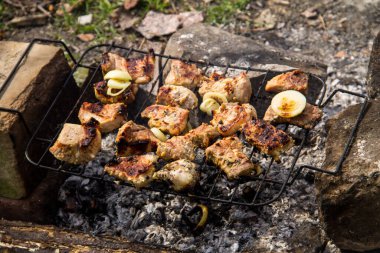 Izgarada domuz eti kızartılıyor. Kömürde et, barbekü yakın.