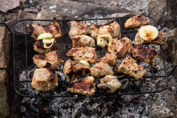 Izgarada domuz eti kızartılıyor. Kömürde et, barbekü yakın.