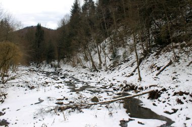 Karpat Dağları'nda kış nehir