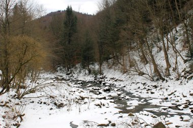 Karpat Dağları'nda kış nehir