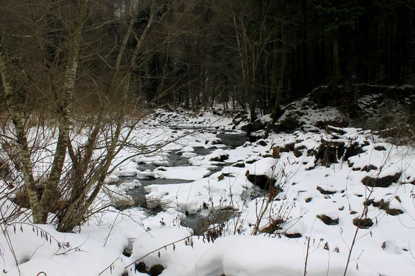 Rio de inverno nas montanhas dos Cárpatos — Fotografia de Stock