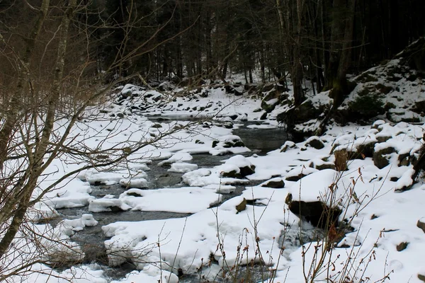 Río de invierno en las montañas Cárpatas — Foto de Stock