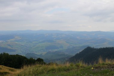 Ukrayna 'daki Karpat Dağları