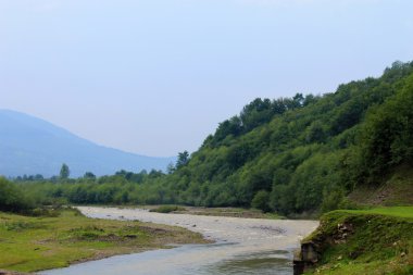 Karpat Dağlarındaki Nehir