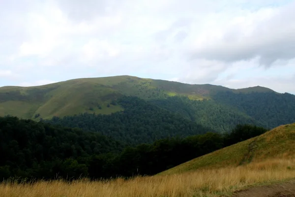 Carpathian mountains in Ukraine — Stock Photo, Image