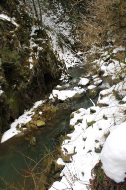 Karpat Dağları'nda kış nehir