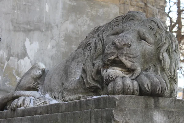 Estatua de León en Lviv — Foto de Stock