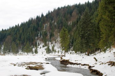 Karpatlar kış nehir