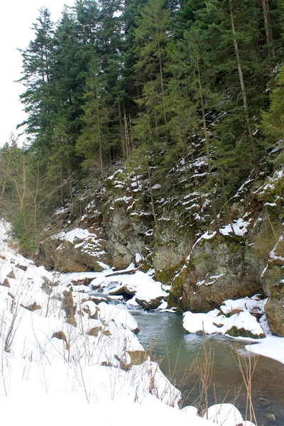 Río de invierno en Cárpatos — Foto de Stock