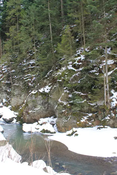 Río de invierno en Cárpatos — Foto de Stock