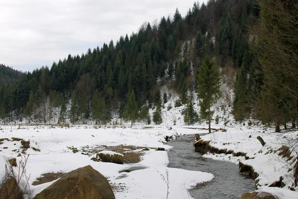 Río de invierno en Cárpatos — Foto de Stock