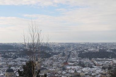 Lviv cityscape, Ukrayna