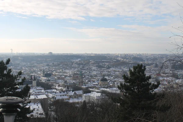 Lviv cityscape, Ukrayna