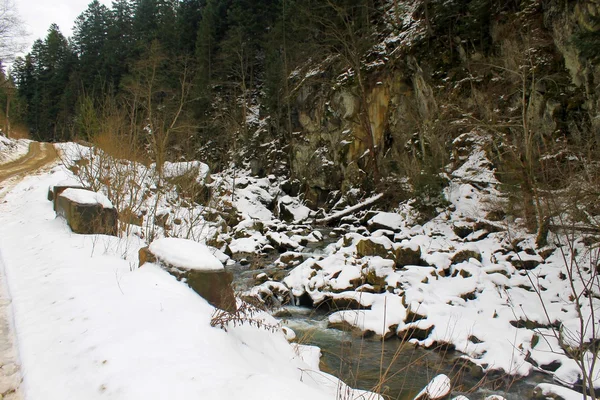 Río de invierno en Cárpatos — Foto de Stock