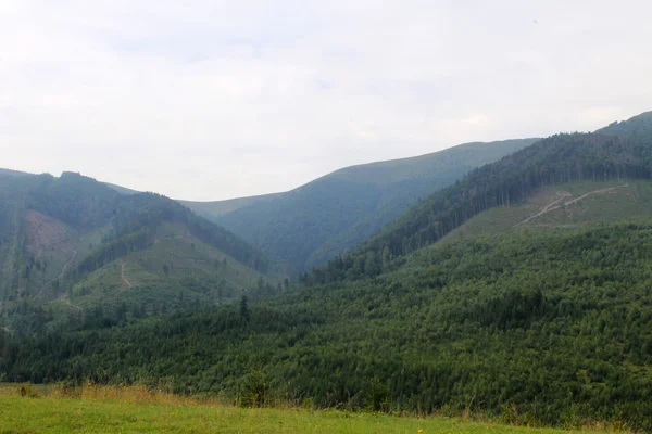 Ukrayna 'daki Karpat Dağları — Stok fotoğraf