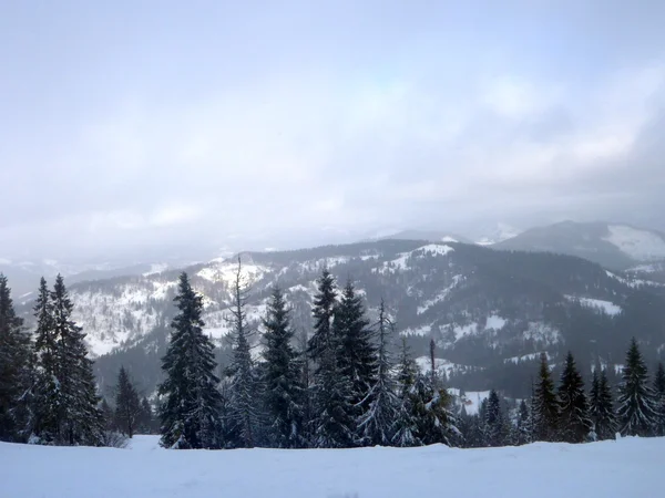 冬季喀尔巴阡山 — 图库照片