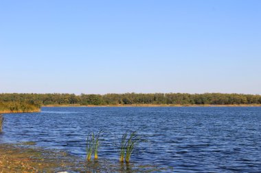 Nehir Saksagan Ukrayna