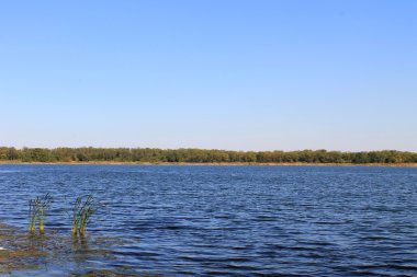 Nehir Saksagan Ukrayna