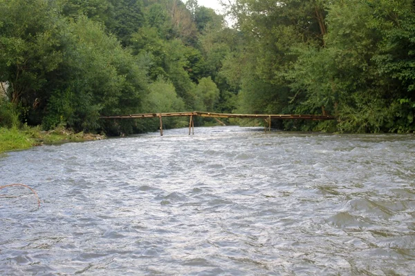 Rivier in het Karpaten gebergte — Stockfoto