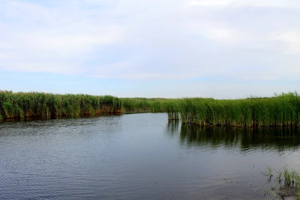 River Saksagan in Ukraine — Stock Photo, Image