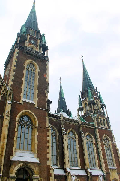 Igreja dos Santos Olha e Elizabeth em Lviv — Fotografia de Stock