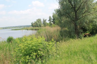 Nehir Saksagan Ukrayna