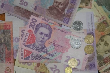 dinero ucraniano y huchaUkraynalı para arka plan