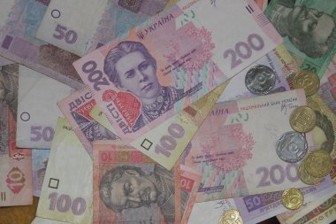 dinero ucraniano y huchaUkraynalı para arka plan