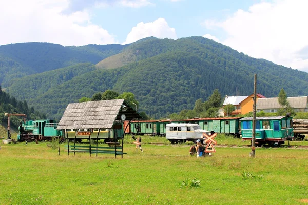 Alte Schmalspurbahn in Transkarpatien — Stockfoto