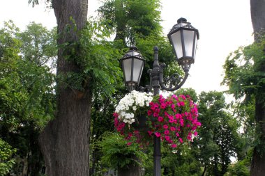 Odessa'daki flowerbed ile sokak fener