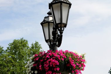 Odessa'daki flowerbed ile sokak fener