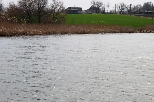 Teich im zeitigen Frühjahr — Stockfoto