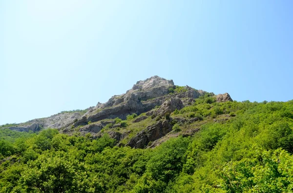 Crimean mountains in summer — Stock Photo, Image