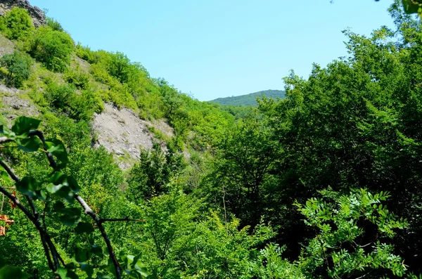 Crimean mountains in summer — Stock Photo, Image