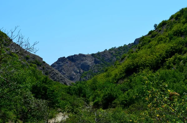 Crimean mountains in summer — Stock Photo, Image