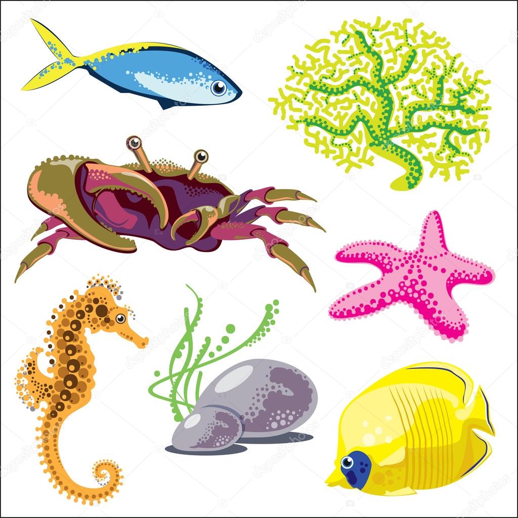 Set of Sea Animals